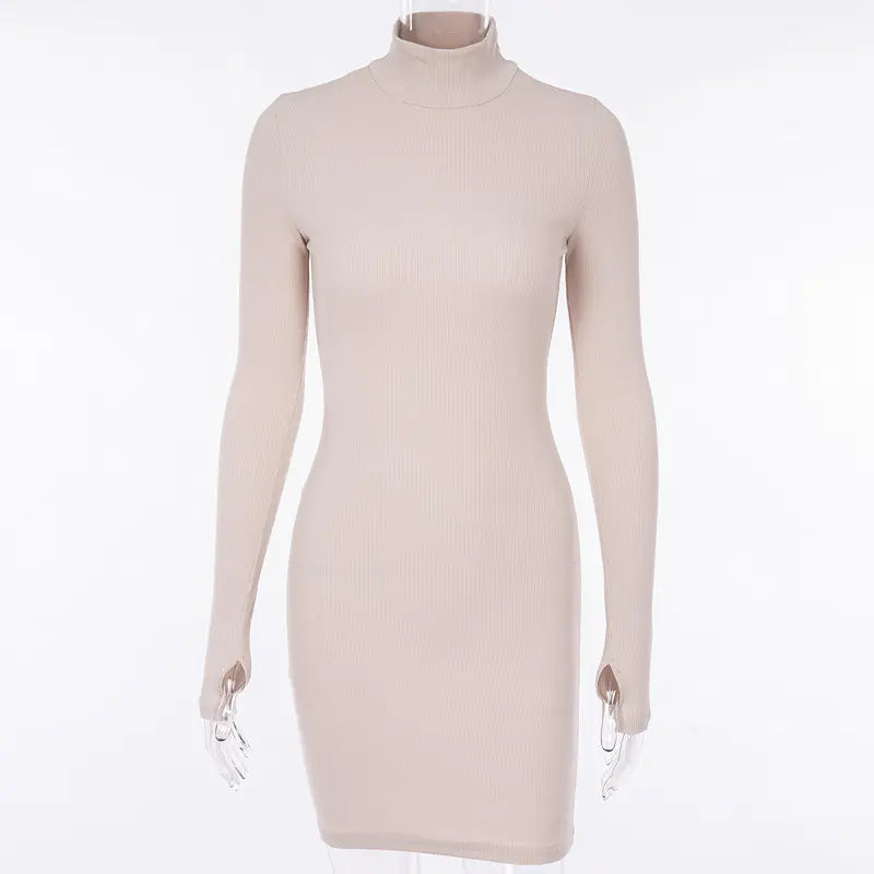 Autumn/Winter Long Sleeve High Neck Dress (Cross-Border)