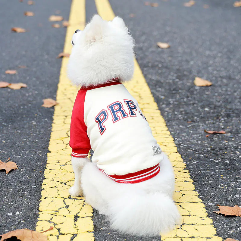 Korean Style Fleece Pet Hoodie for Dogs (Fall/Winter)