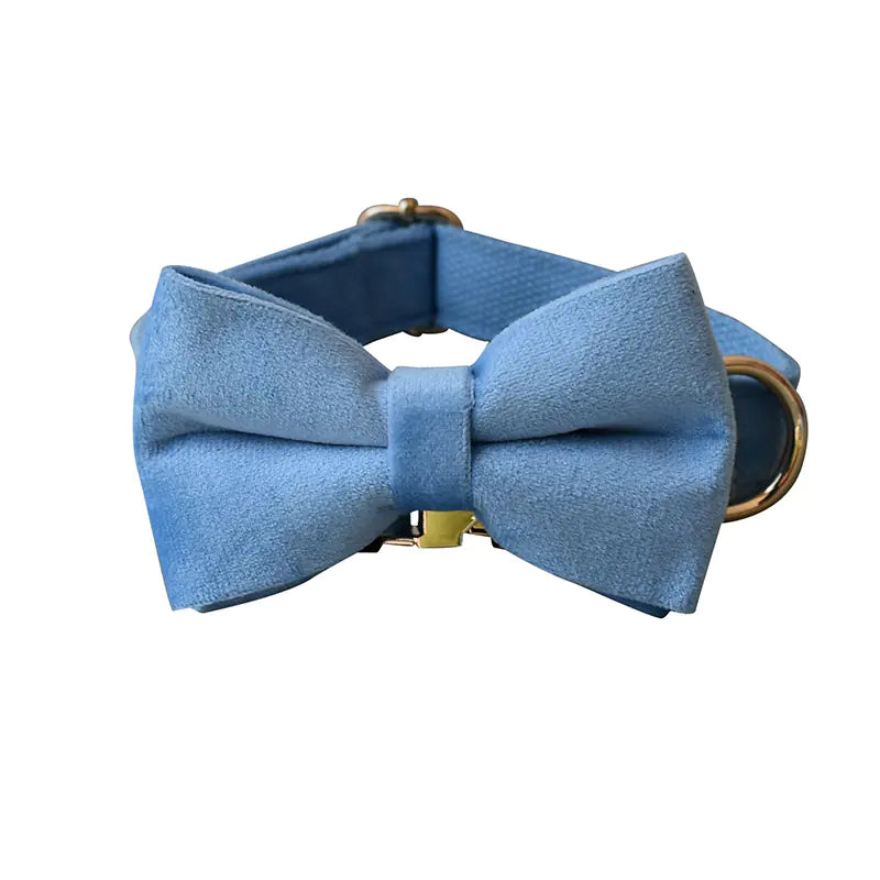 Blue Velvet Dog Collar with Rope for Pets