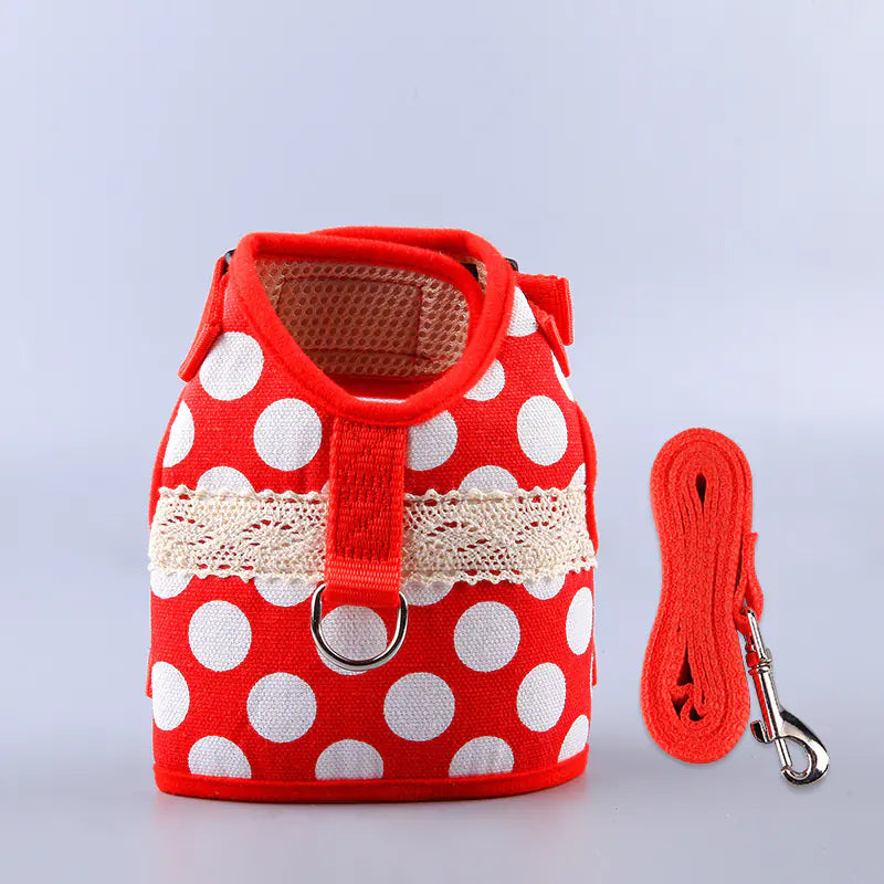 Ethnic Style Dog Leash and Clothing Set