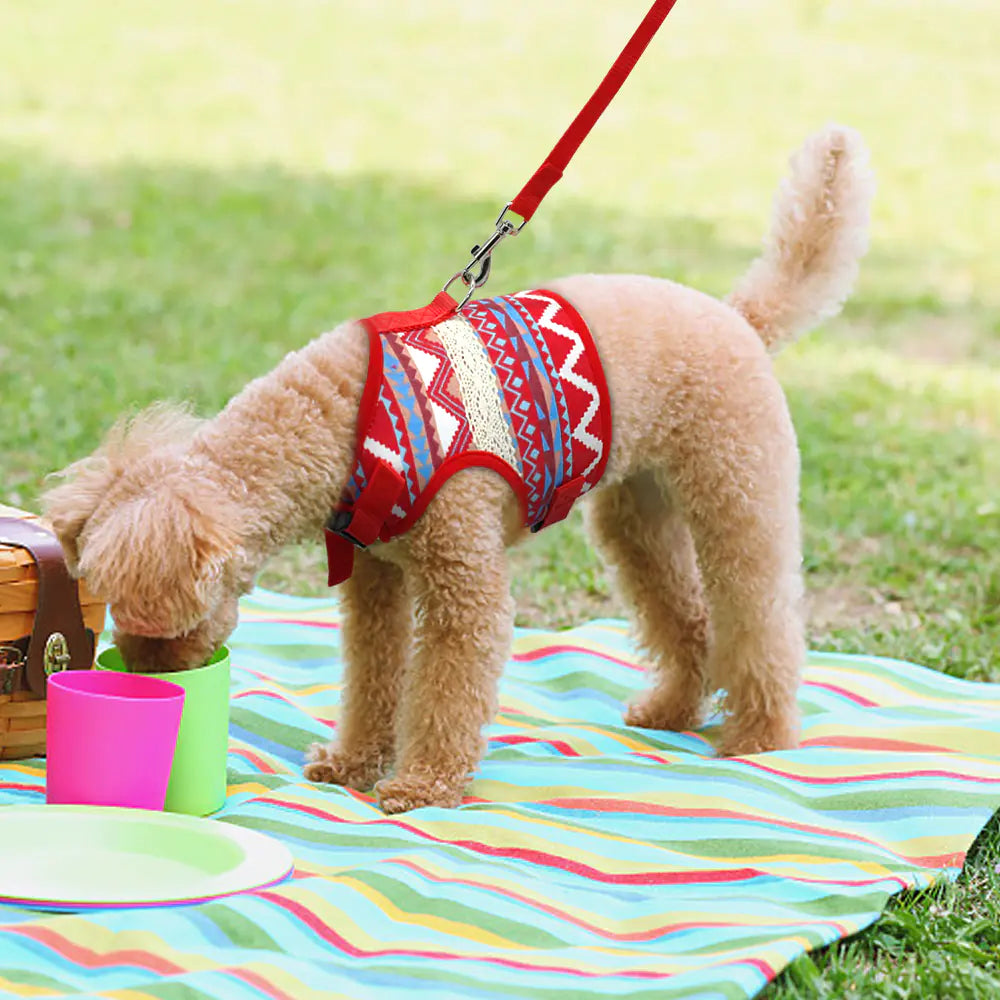 Ethnic Style Dog Leash and Clothing Set