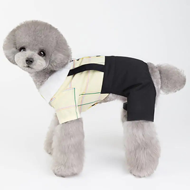 New Spring/Summer Dog Couple Outfits for Students