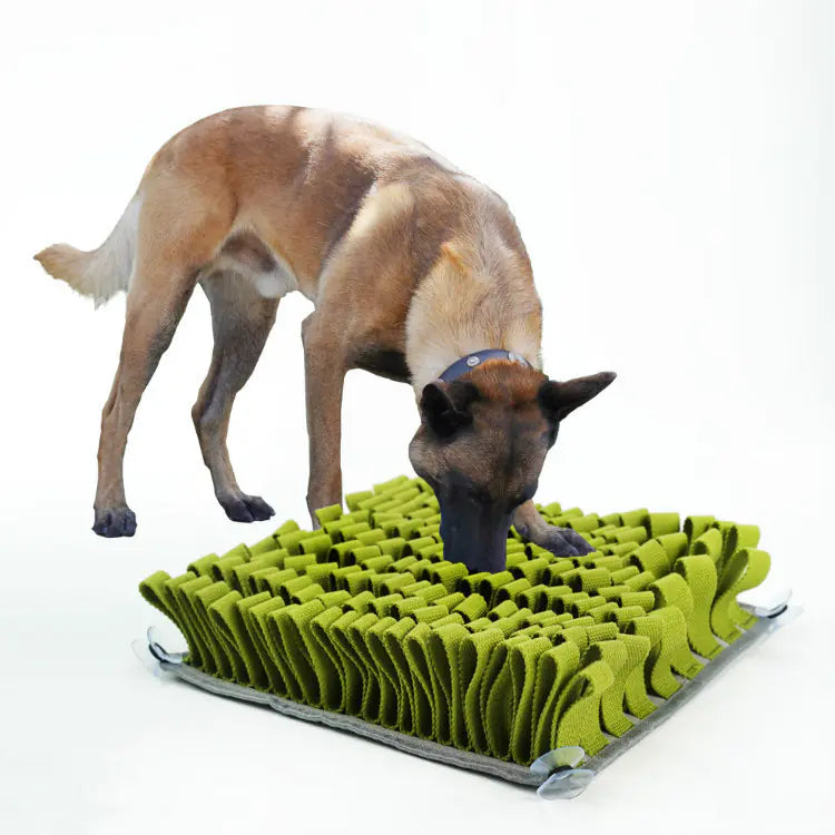 Pet Bite-Resistant Slow Food Training Sniff Pad Blanket