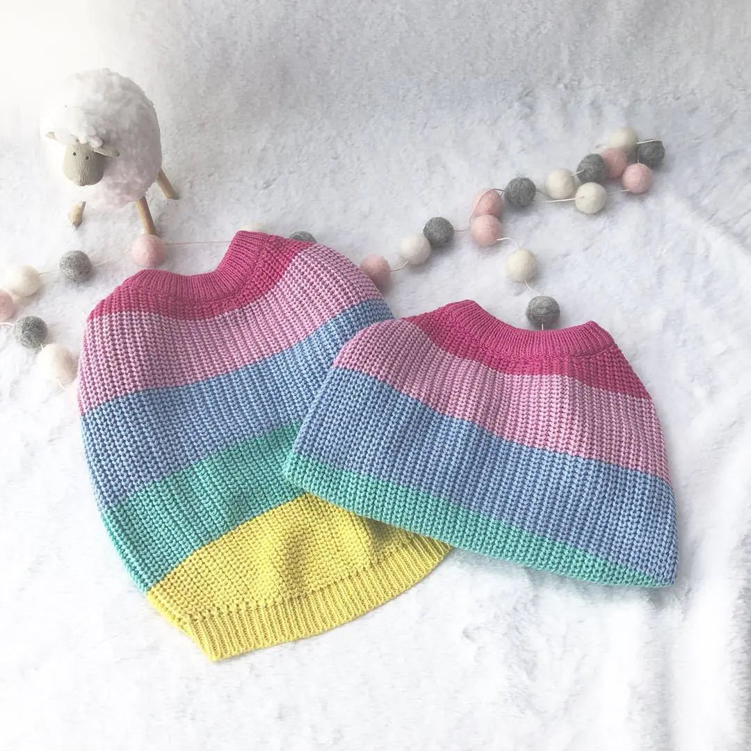 Warm Teddy Corgi Shiba Inu Dog Sweater for Pets