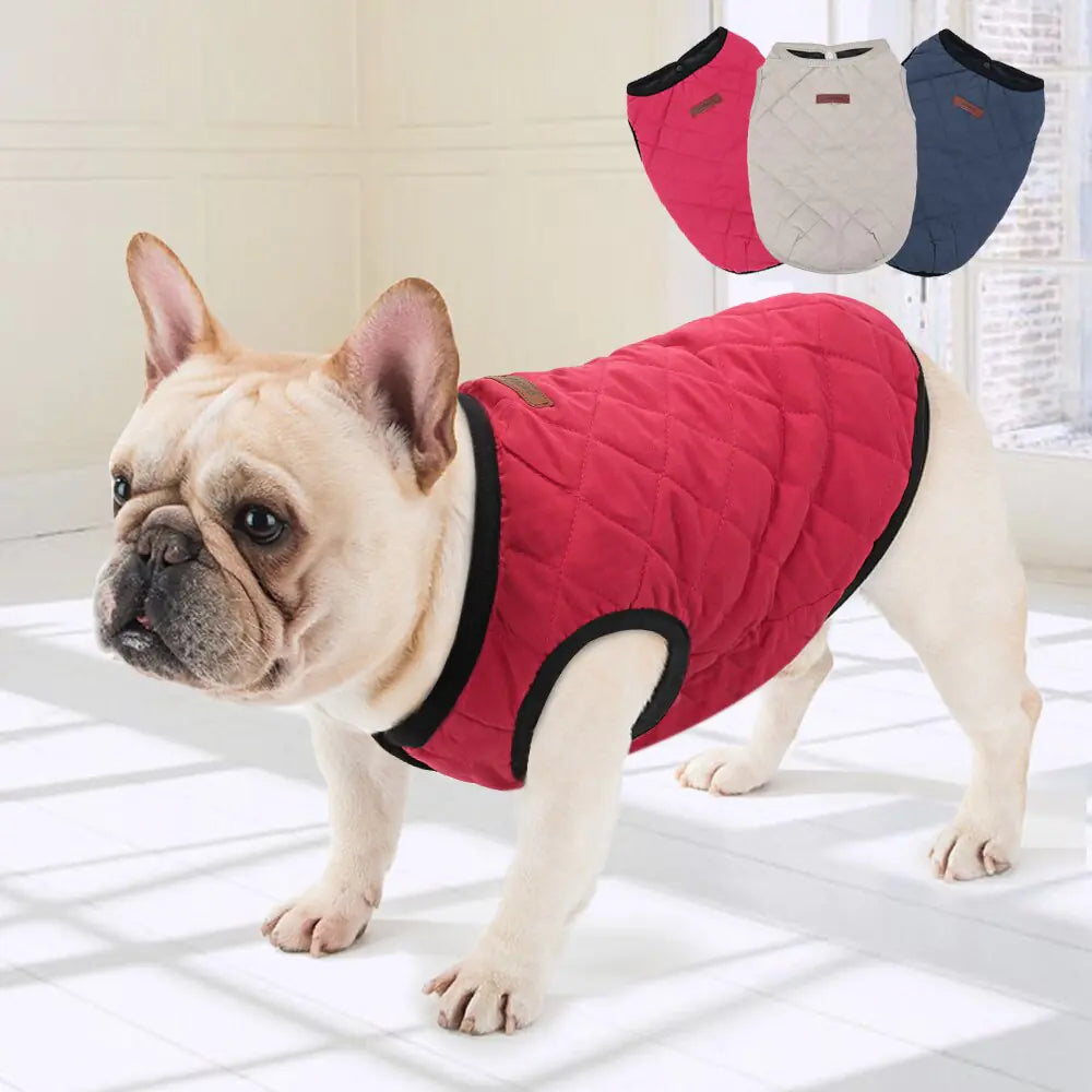 Dog Vest and Cotton Jacket for Dogs