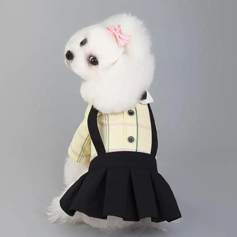 New Spring/Summer Dog Couple Outfits for Students