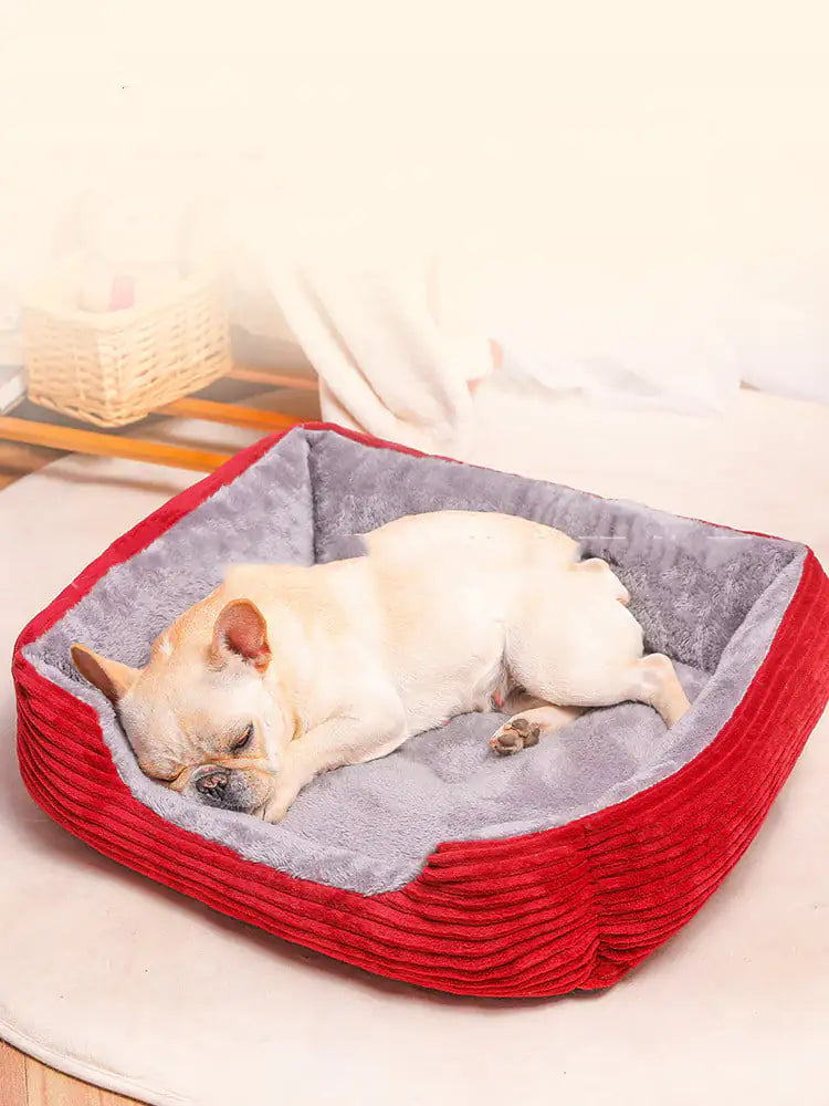 Teddy Dog Bed for Small to Large Breeds