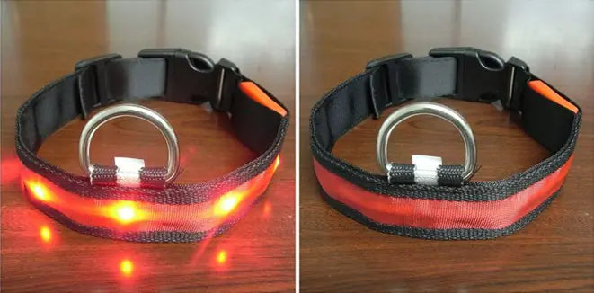 Luminous LED Pet Collar for Pomeranian & Husky