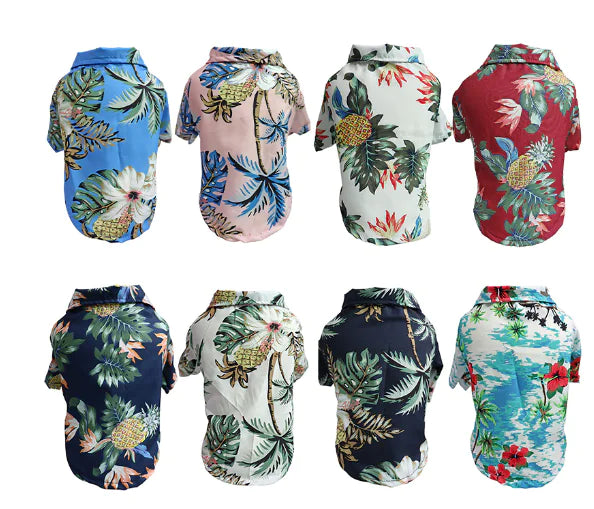 Corgi Blue Thin Shirt for Spring and Summer Dogs