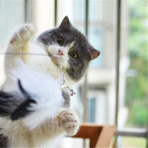 Cat Teaser Wand with Feather Cat Toys and Supplies