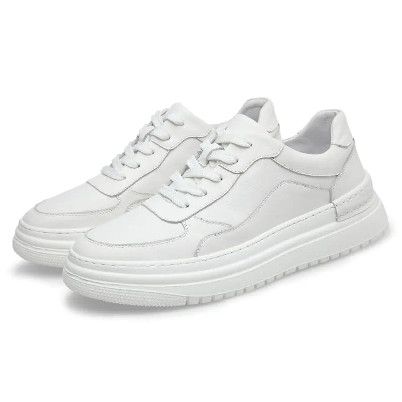Men's Casual Dad Shoes - Breathable Mesh Design
