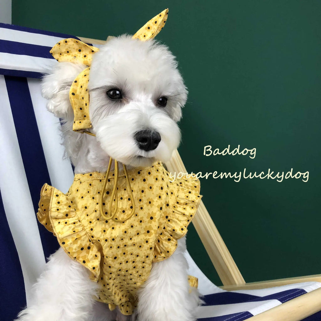 Summer Lightweight Dress for Small Dogs