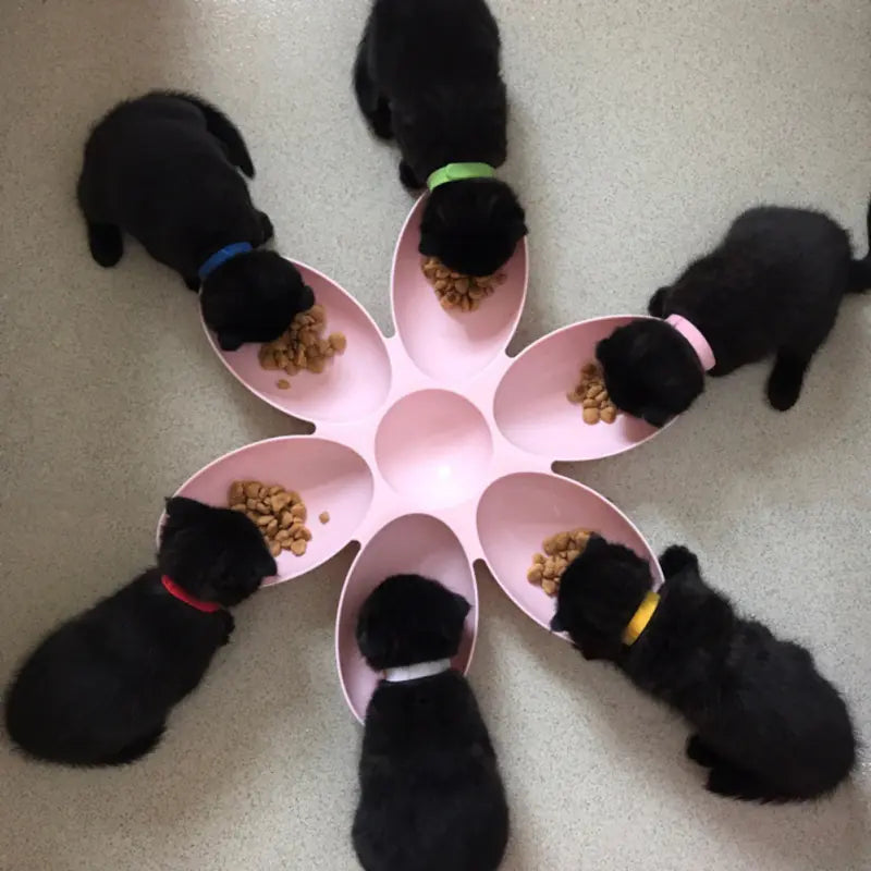 Pet Bowl Set with Floral Design for Cats and Dogs
