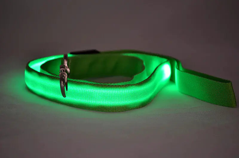 LED Glowing Dog Leash for Nighttime Walks