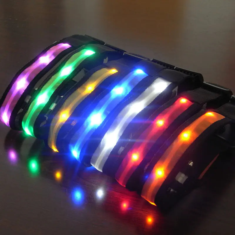 Luminous LED Pet Collar for Pomeranian & Husky