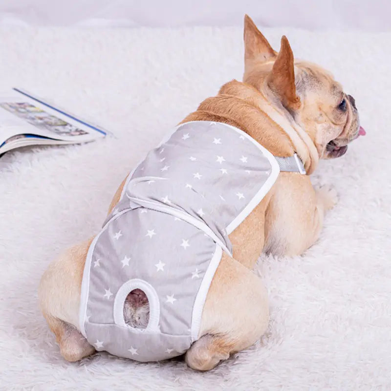 French Doumu Dog Female Physiological Pants
