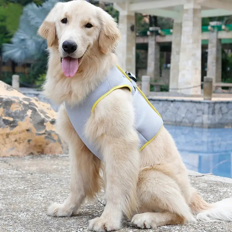 Dog Cooling Vest for Heatstroke Prevention and Comfort