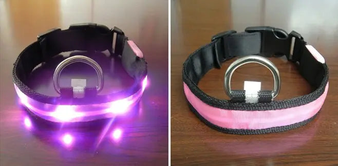 Luminous LED Pet Collar for Pomeranian & Husky