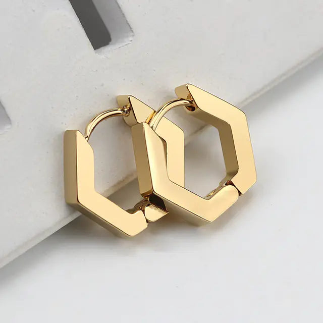 Geometric Titanium Steel Women's Earrings for Daily Wear