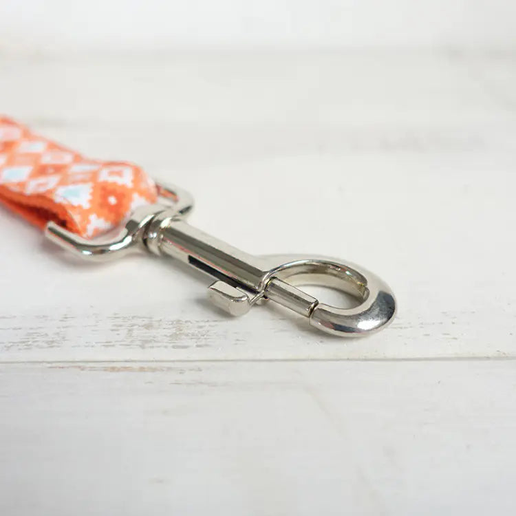 Thick Leash for Medium to Large Dogs