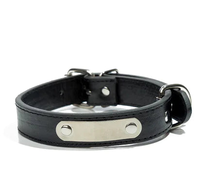 Custom Dog Tag with PU Collar for Pets