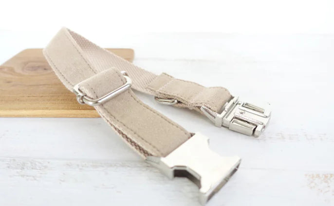 Creative Design Teddy Dog Collar - Eco-Friendly Pet Gear