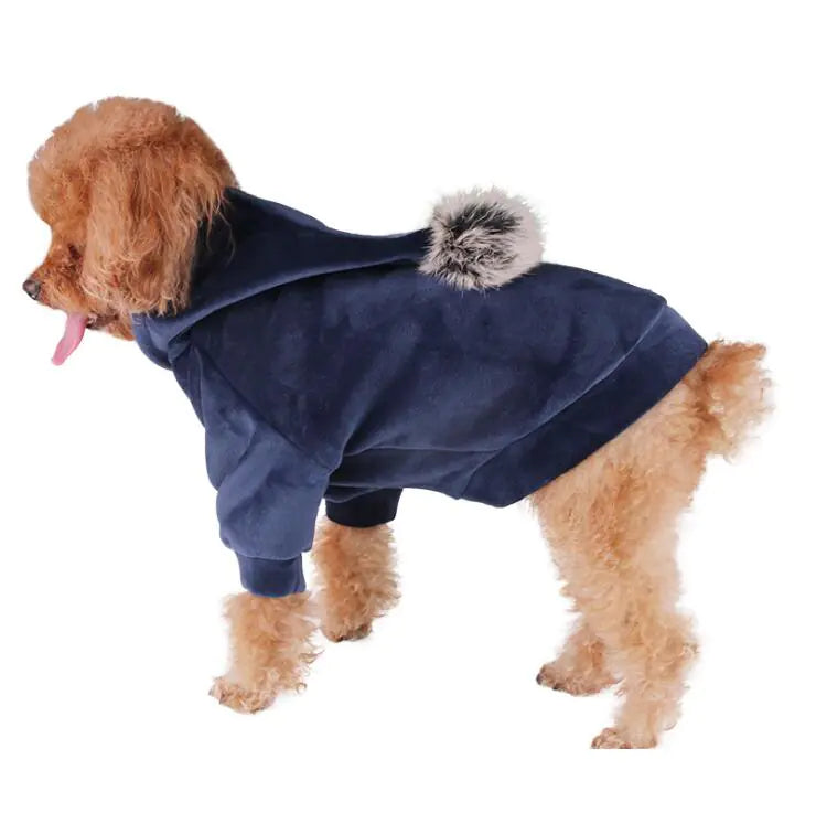 Pet Clothing for Dogs and Halloween Costumes for Cats