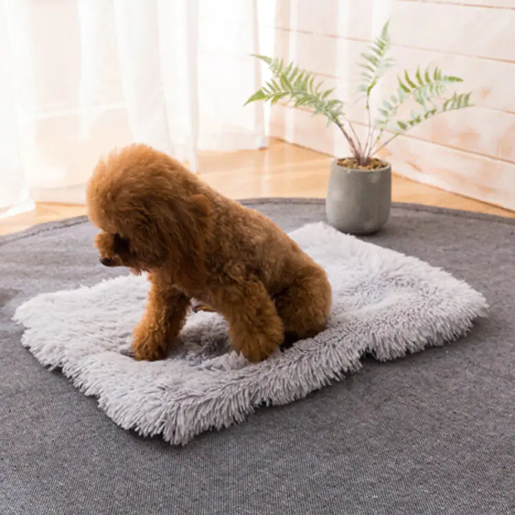 Square Pet Bed for Small, Medium, Large Dogs and Cats