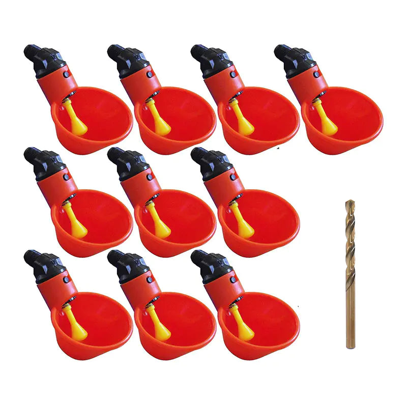 Chick Watering Bowl for Quail and Pigeon Wholesale