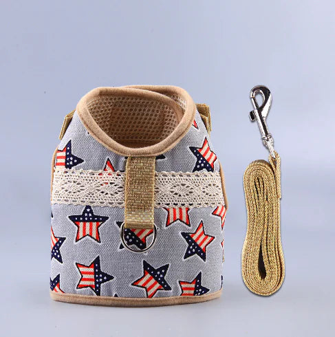 Ethnic Style Dog Leash and Clothing Set