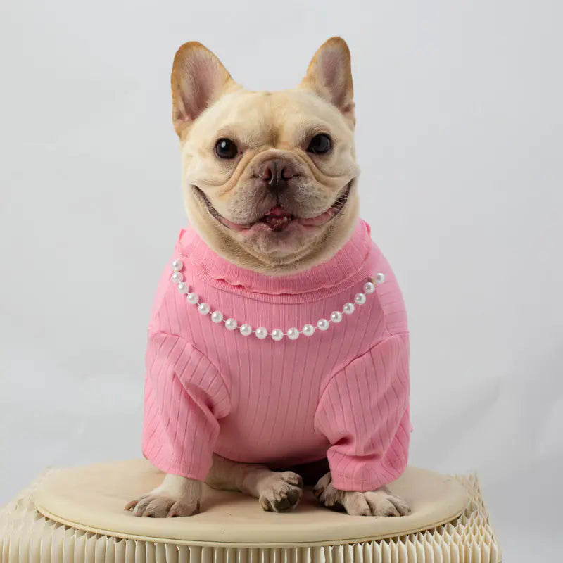 Autumn and Winter Dog Vest