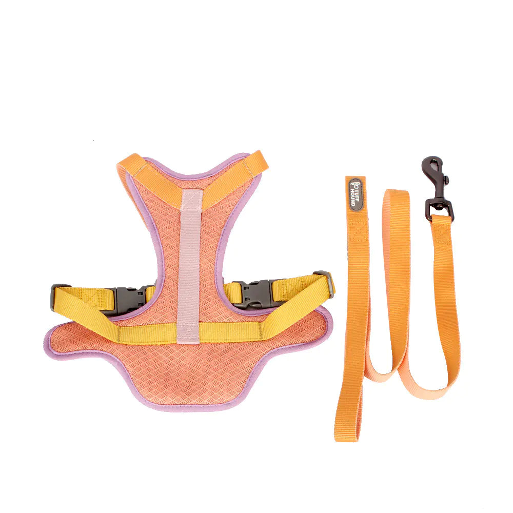 Colorful Harness and Leash Set for Pets
