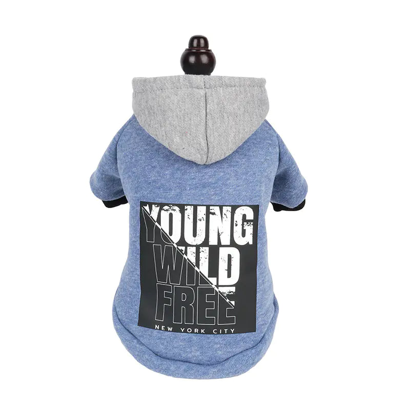 Hooded Sweatshirt with Letter Print Design
