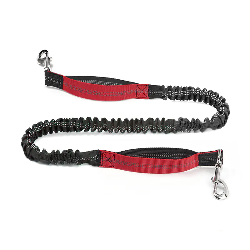Cross-Border Pet Running Waist Bag with Leash