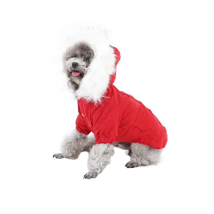 Medium Size Corgi Autumn and Winter Fashion Wear