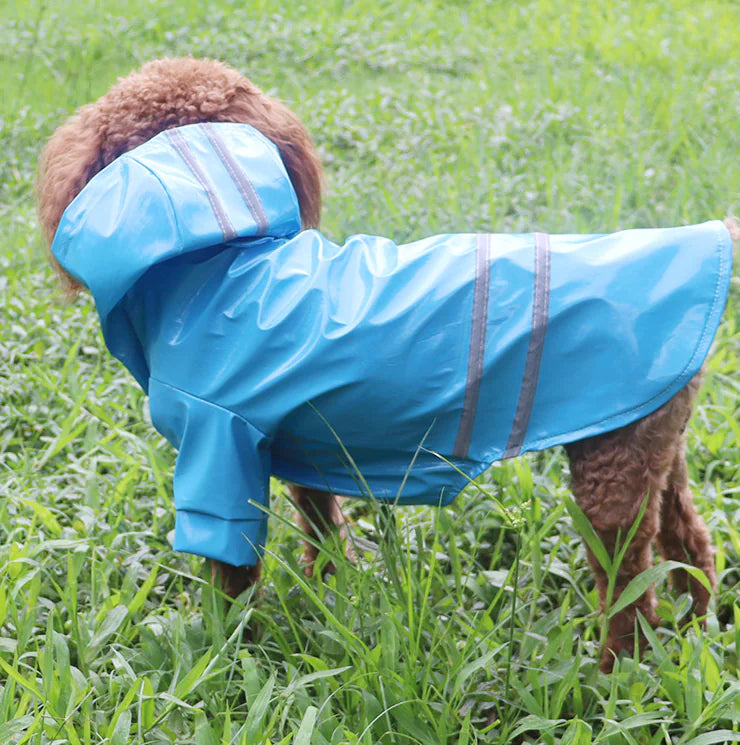 Dog Raincoat Fashion Apparel for Wet Weather