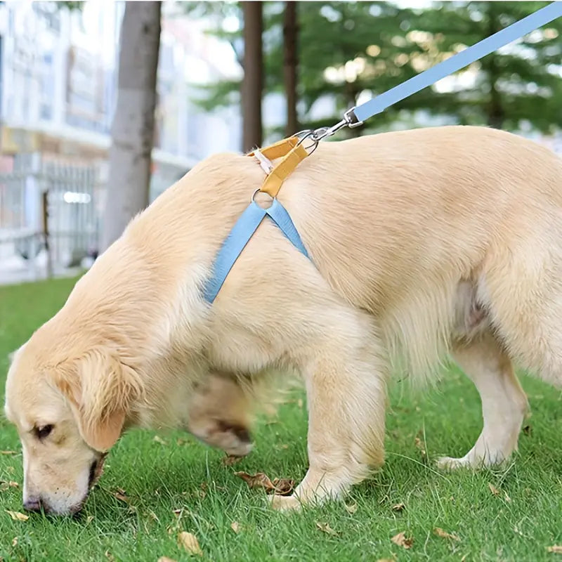 Rainbow Colorblock Anti-Escape Dog Harness and Leash Set