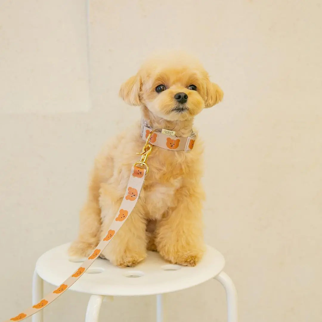 Cute Soft and Durable Dog Pet Rope for Traction