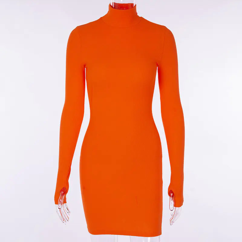 Autumn/Winter Long Sleeve High Neck Dress (Cross-Border)