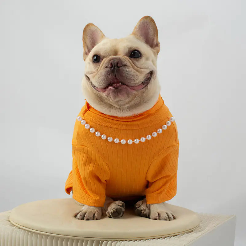 Autumn and Winter Dog Vest