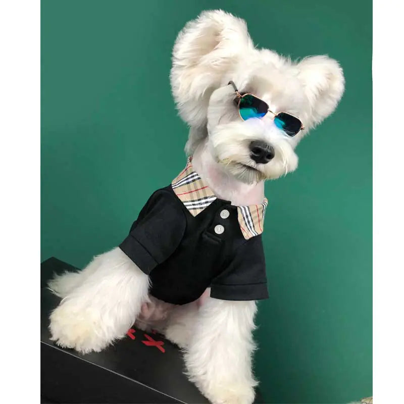 Summer T-Shirt for Small Dogs - Corgi, Teddy, Poodle