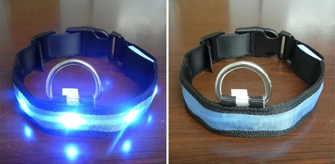Luminous LED Pet Collar for Pomeranian & Husky