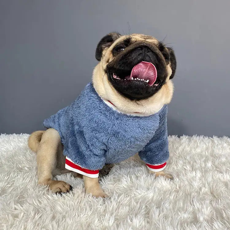 Cozy Pet Sweater for Cold Weather Wear