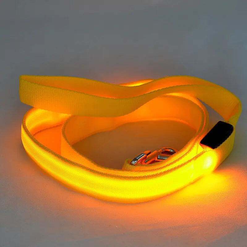 LED Glowing Dog Leash for Nighttime Walks