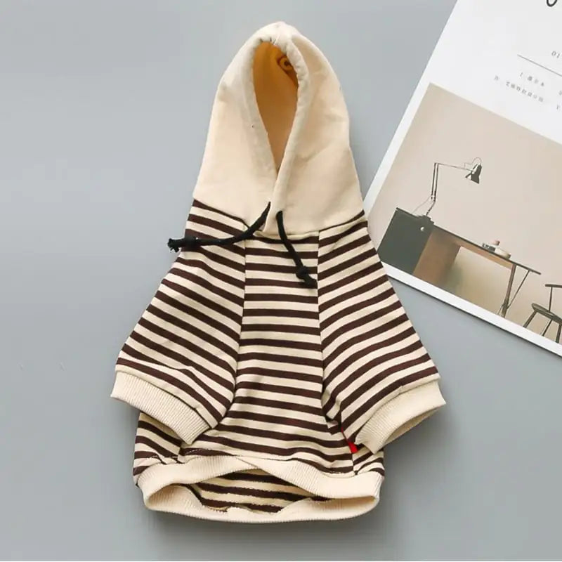 Teddy Dog Terry Sweater - Fashion for Small Dogs