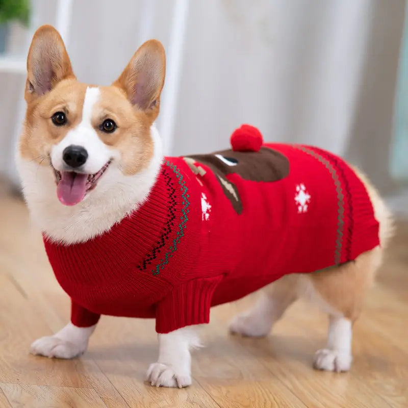 Padded Winter Coat for Shiba Inu Pets