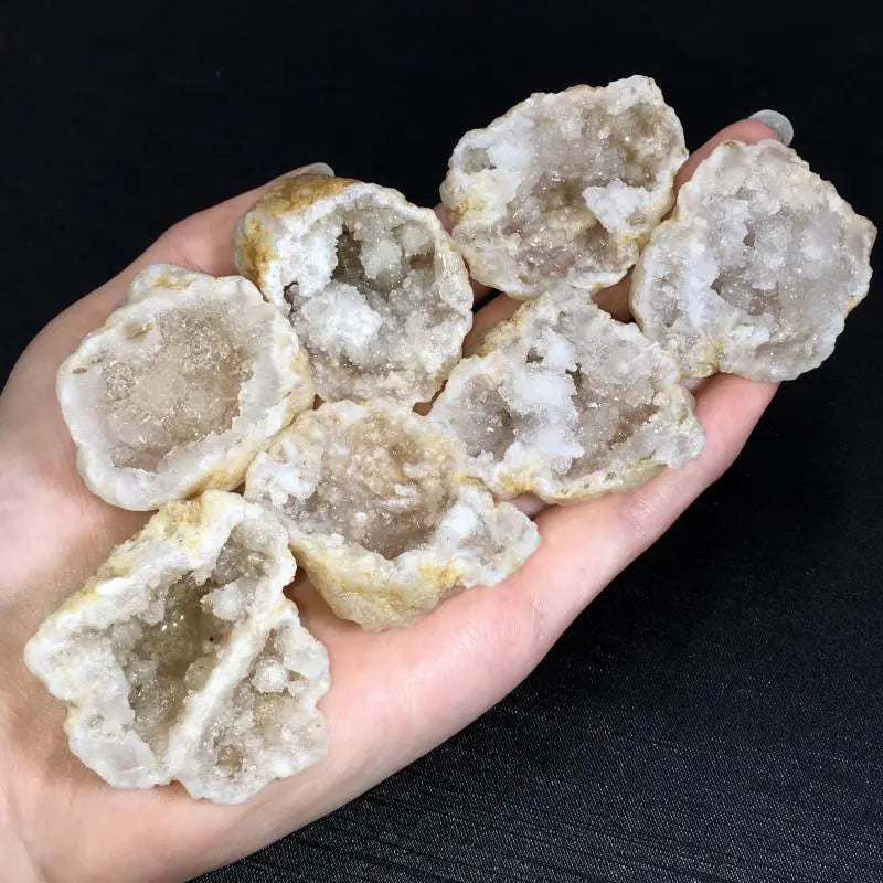 Natural Crystal Geode Decoration and Teaching Specimen