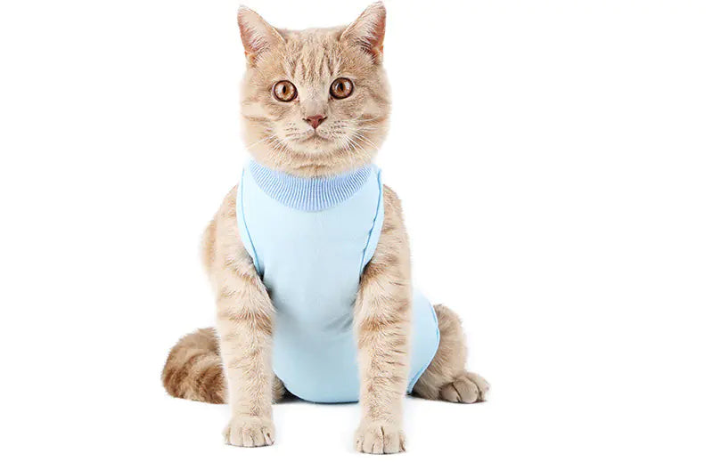 Weaning Clothes for Female Cats Post-Surgery