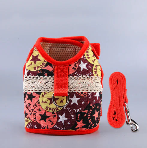 Ethnic Style Dog Leash and Clothing Set