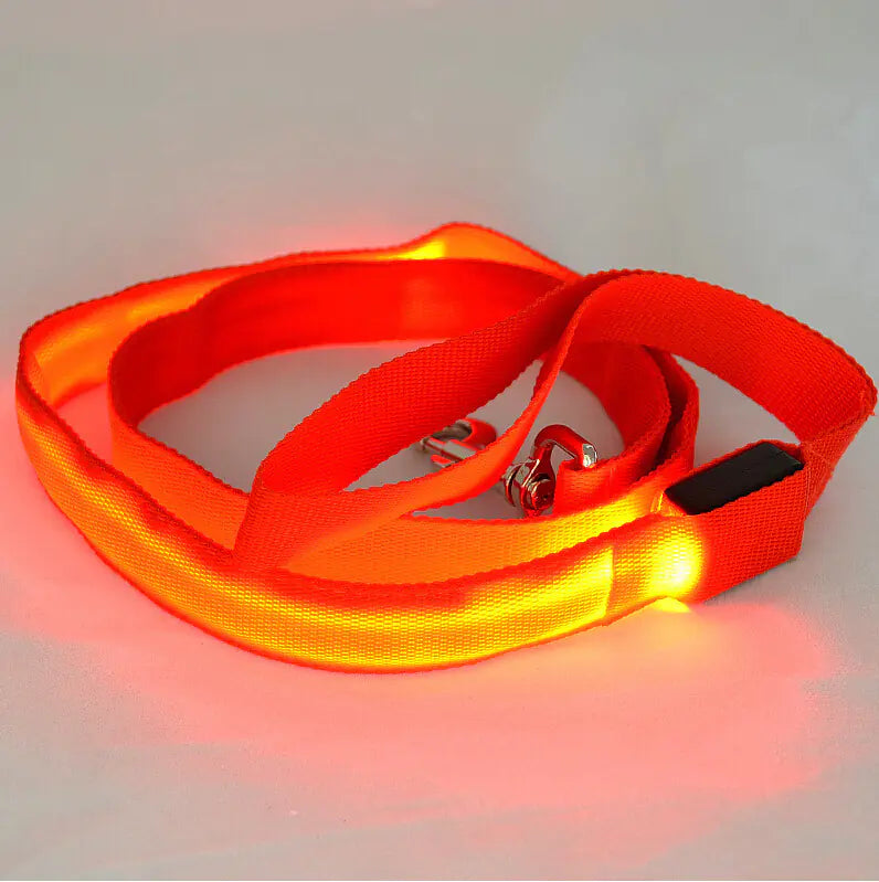 LED Glowing Dog Leash for Nighttime Walks